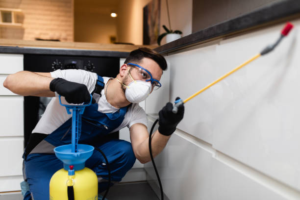 Pest Prevention Services in Huntsville, AL
