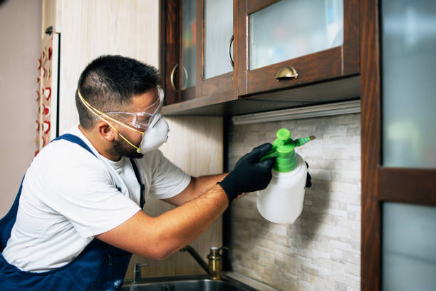 Best Residential Pest Control  in Huntsville, AL