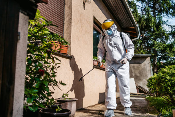 Best Residential Pest Control  in Huntsville, AL