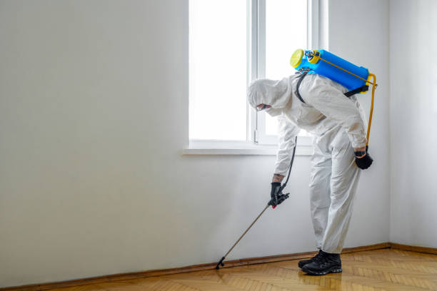 Best Pest Removal Services  in Huntsville, AL