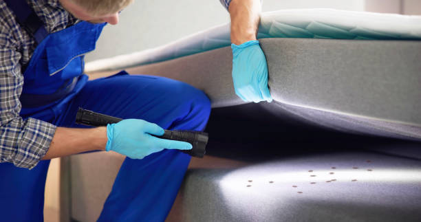 Best Pest Control Treatment  in Huntsville, AL