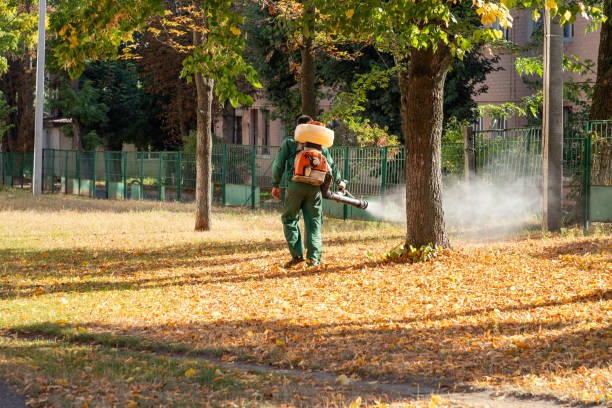 Best Flea Control Services  in Huntsville, AL