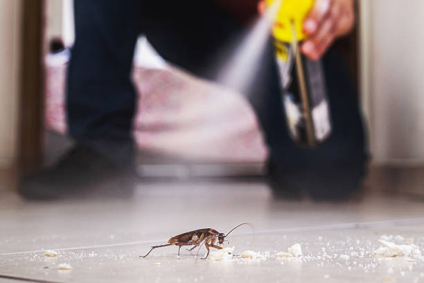 Best Cockroach Control Services  in Huntsville, AL