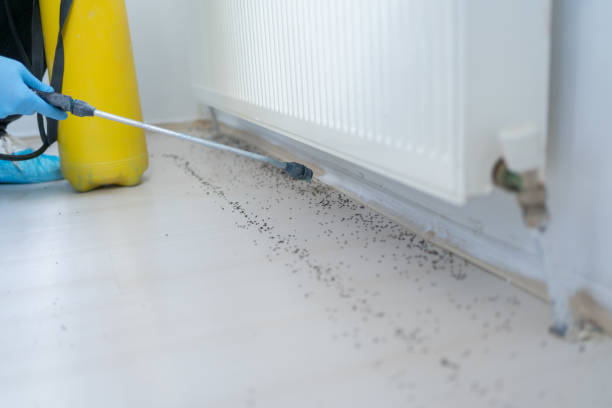 Trusted Huntsville, AL Pest Control Experts